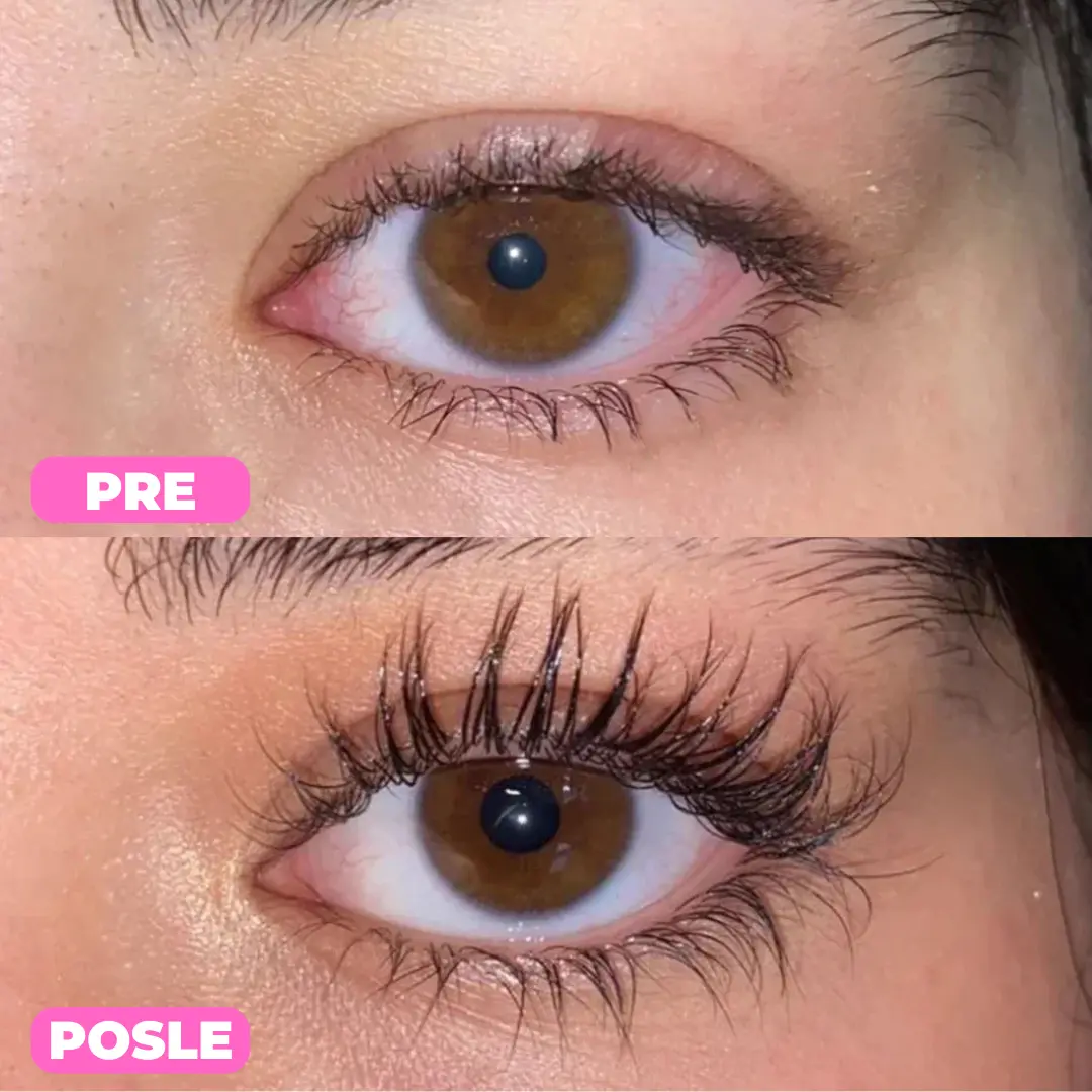 Rezultati PureLash